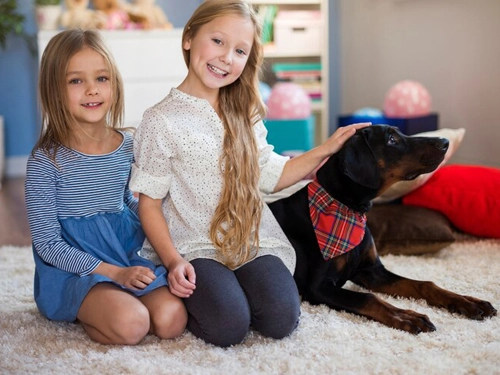 Çayyolu Halı Yıkama Firmamız Güvencesi Altında Halılarınızda Üst Düzey Temizlik