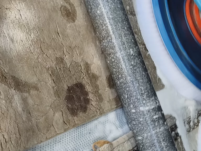 Çayyolu Halı Yıkama ile Evlerinizde Lüks ve Derinlemesine Hijyen